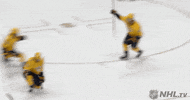 Celebrate Ice Hockey GIF by NHL