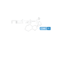 netzint komminsteam itsystemhaus gütenbach netzint Sticker