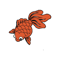 Gold Fish Orange Sticker by TheTatuTribe