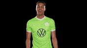 Bundesliga Reaction GIF by VfL Wolfsburg