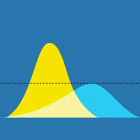 sakolacme giphyupload GIF
