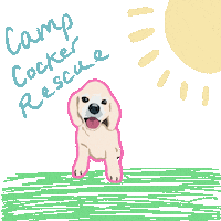 Cocker Spaniel Sticker by Camp Cocker Rescue