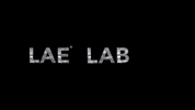 laelab clothing lab kleidung lae GIF