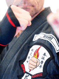 Martial Arts Fight GIF by Flaming Fist Kenpo Germany - empty hands e.V.