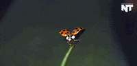 slow motion news GIF by NowThis 