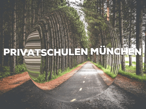 Fun Party GIF by PrivatschulenPORTAL.de