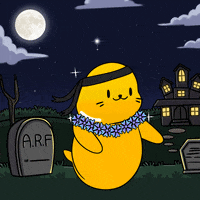 Happy Dance GIF by Sappy Seals Community
