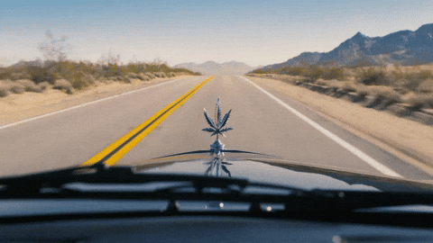 Cheech And Chong Smoke GIF by Cheech & Chong’s Last Movie