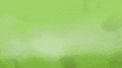 GIF by Major Lazer on FXX
