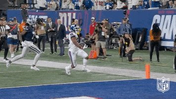 New York Giants Football GIF by NFL