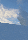 emperor penguin bird GIF by Head Like an Orange