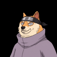 Shiba Inu Pain GIF by Doge Pound