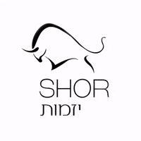 shayshoeinvest shor GIF