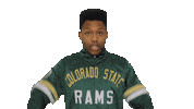 Winning Field Goal Sticker by Black Prez