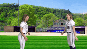 Warriors Softball GIF by WinonaStateATH
