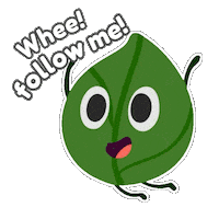 Fire Follow Sticker by elemojie