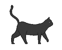 Cat Kitty Sticker by merlin fluegel