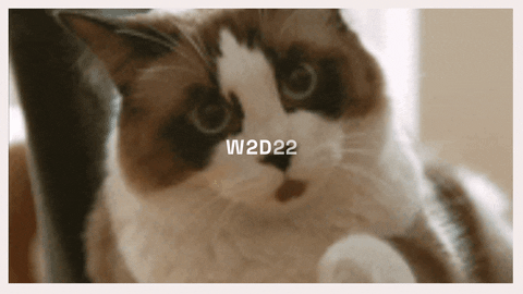 LaCantine giphyupload GIF