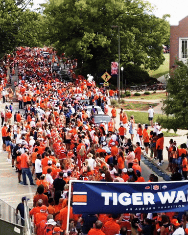 College Football GIF by Auburn Tigers