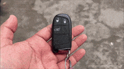 Driving American GIF by Namaste Car