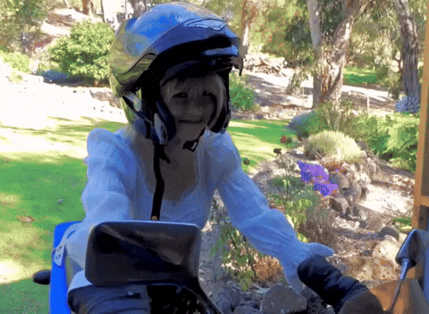 Australia Lily GIF
