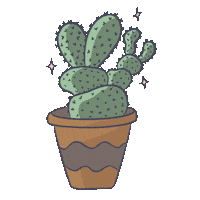 helloavamoonie plant eco cactus planta Sticker