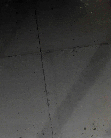 Vasco Da Gama GIF