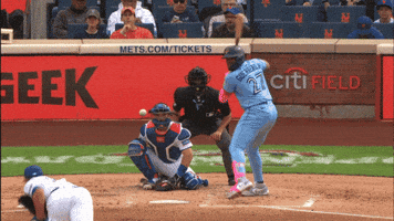 Blue Jays Baseball GIF by Toronto Blue Jays