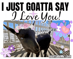 GoattaBeMe love hi animals i love you GIF