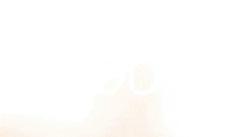 Celebration Goal GIF by FC Red Bull Salzburg