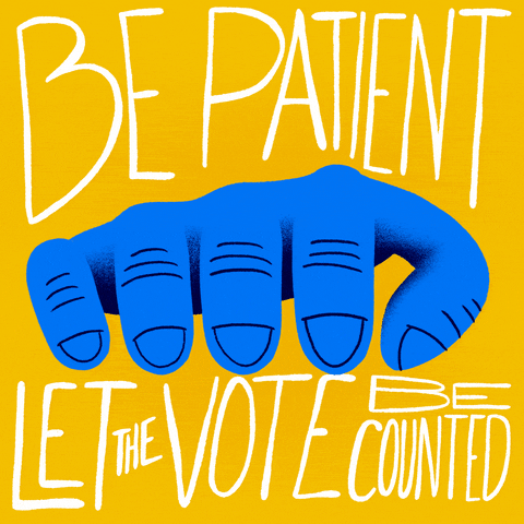 Be Patient Voting Rights GIF by INTO ACTION