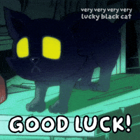 Best Wishes Good Luck GIF by VeeFriends