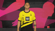 Borussia Dortmund Football GIF by Bundesliga