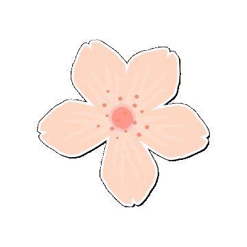 OMF_Int giphygifmaker flower japan sakura Sticker