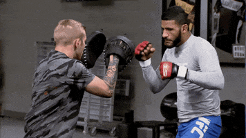 the ultimate fighter redemption GIF
