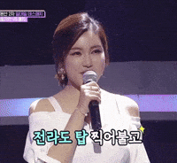송가인 GIF