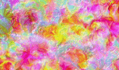 Travess  GIF