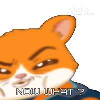Now What Question Sticker by Hamieverse