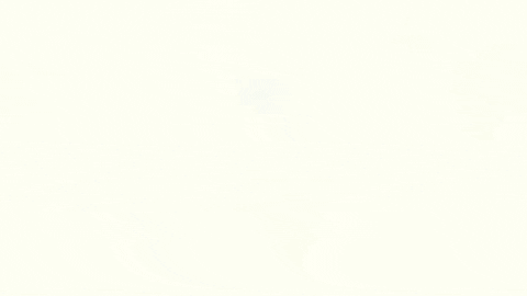 Side Effects Party GIF by D-Block Europe