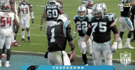 carolina panthers football GIF by NFL