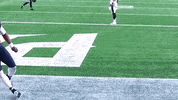 Happy Cam Newton GIF by New England Patriots
