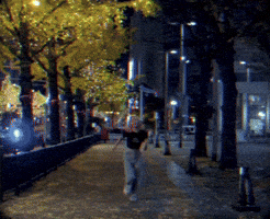 Merry Christmas Lily GIF
