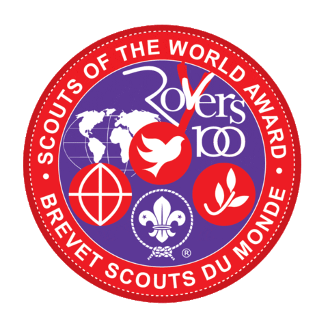 girl scout Sticker by World Scouting