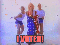 Voting Super Tuesday GIF