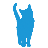 Katze Sticker by GoNature