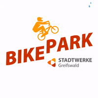 teamradsport bmx dirtbike bikepark greifswald GIF