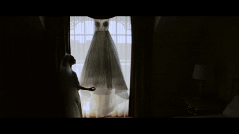 Dftw GIF by Switzerfilm