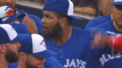 Celebrate Blue Jays GIF by Toronto Blue Jays