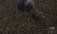home movie dog GIF by Texas Archive of the Moving Image