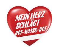 fairness vilimsky Sticker by FPÖ